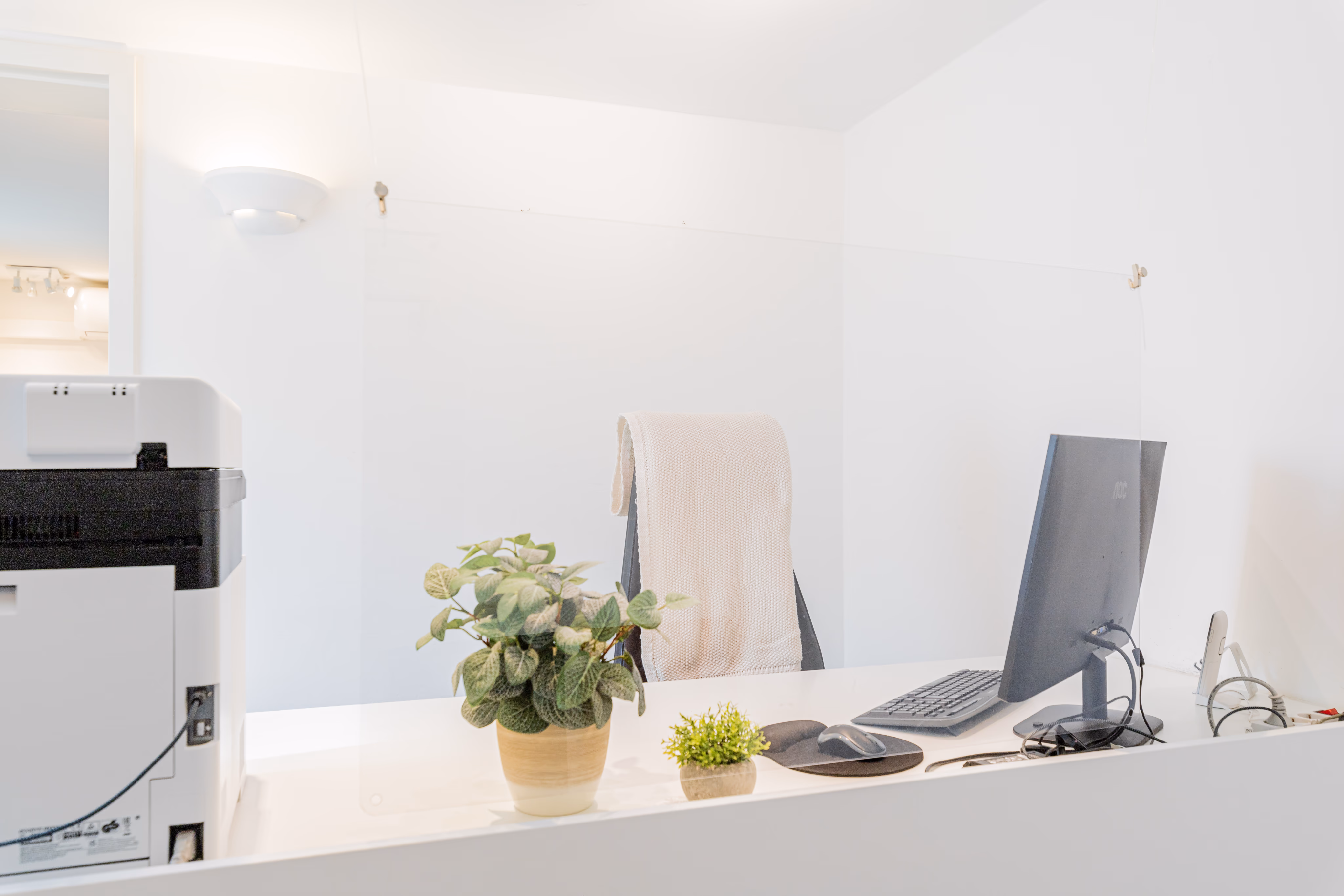 Office desk with plants, a computer and printer.