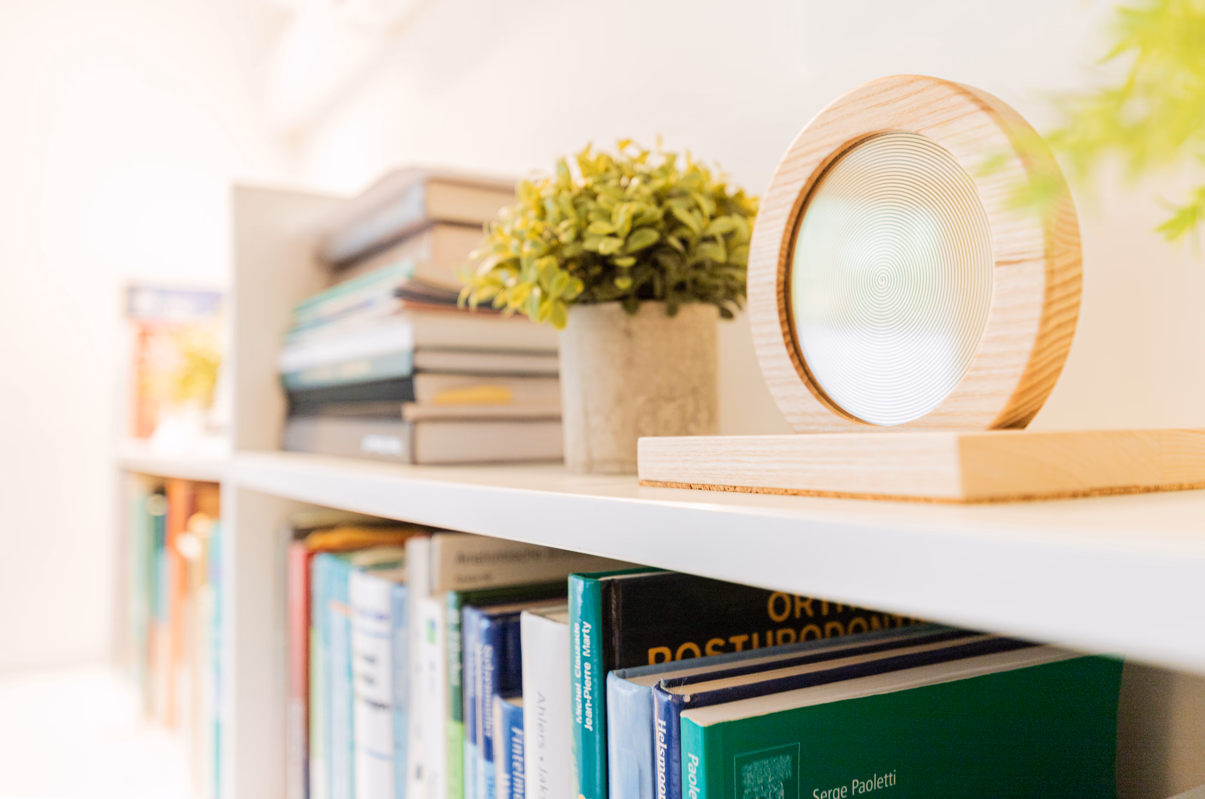 Shelves with books and plants